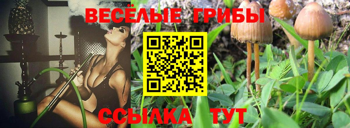 Псилоцибиновые грибы мицелий Моздок