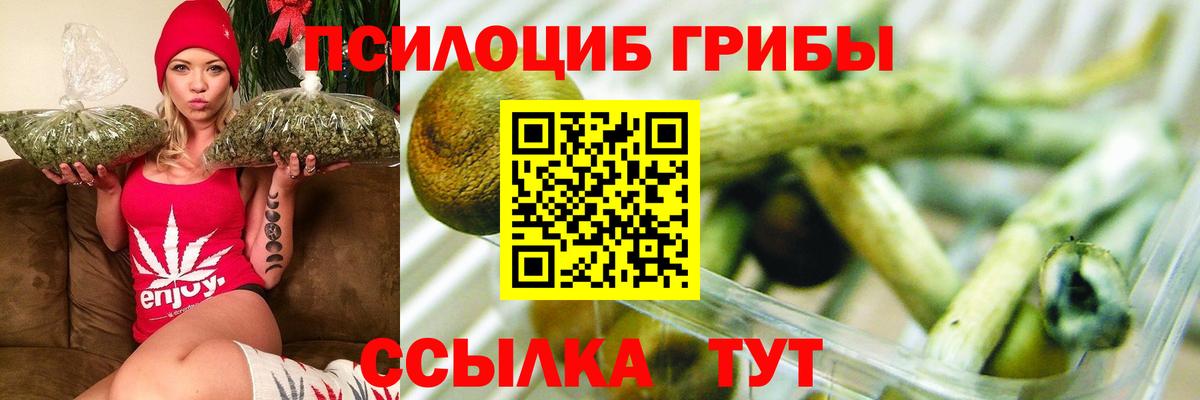 Моздок  Псилоцибиновые грибы ЛСД  Вход с VPN 